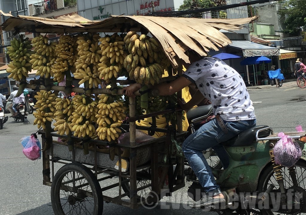 Bananes