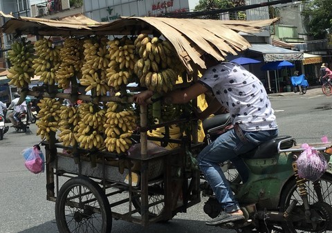 Bananes